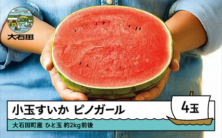 小玉 すいか ピノガール 約2kg×4玉 令和8年産 山形県産 mn-sukxx4