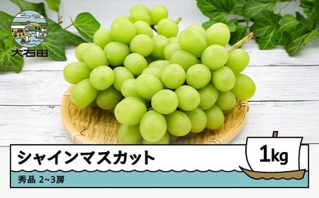 【先行予約】 シャインマスカット ぶどう 約1kg 2~3房 山形県産 令和8年産 2026年産 フルーツ 果実 ry-busmx1000