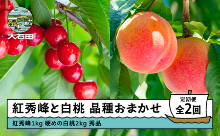【先行予約】 2回定期便 さくらんぼ 紅秀峰 1kg 硬めの白桃 2kg さくらんぼ 白桃 桃 もも 品種おまかせ 定期便 山形県産 2026年産 令和8年産 フルーツ 果実  ry-ft2bh3000-h