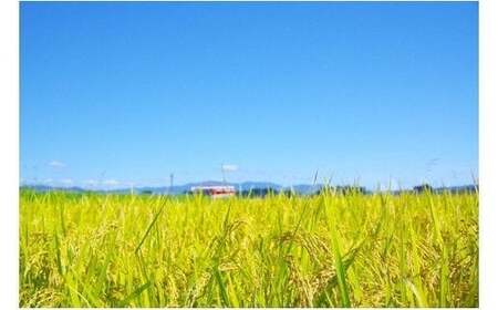新米 米 はえぬき 30kg 令和7年産 【2025年11月上旬発送】大石田町産 特別栽培米 玄米 備蓄 防災 支援 農家 キャンプ 長期保存 先行予約 ※沖縄・離島への配送不可 ja-hagxa30-11f