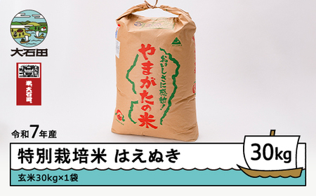お米 米 はえぬき 30kg 令和7年産 【2026年3月下旬発送】大石田町産 特別栽培米 玄米 ※沖縄・離島への配送不可 ja-hagxa30-3s