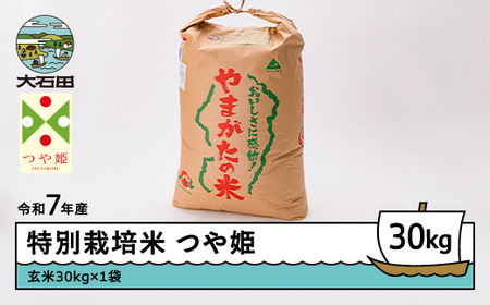 お米 米 つや姫 30kg 令和7年産 【2026年4月下旬発送】大石田町産 特別栽培米 玄米 ※沖縄・離島への配送不可 ja-tsgxa30-4s