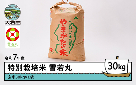 お米 米 雪若丸 30kg 令和7年産 【2026年5月下旬発送】大石田町産 特別栽培米 玄米 ※沖縄・離島への配送不可 ja-yugxa30-5s