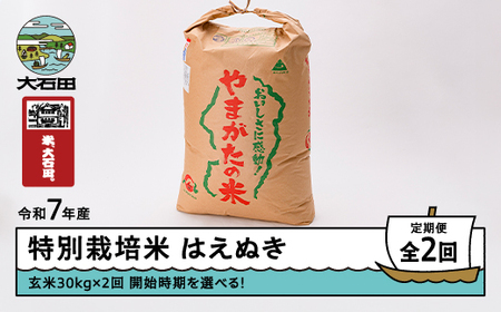 お米 米 令和7年産 【玄米2回定期便】 はえぬき 30kg×2回 2026年3月・2026年6月発送 大石田町産 特別栽培米 玄米 ※沖縄・離島への配送不可 ja-hagxa30x2-tkk3to6