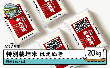 お米 米 令和7年産 【2026年5月上旬発送】 米 はえぬき 20kg 大石田町産 特別栽培米 精米 ※沖縄・離島への配送不可 ja-hasxa20-5f