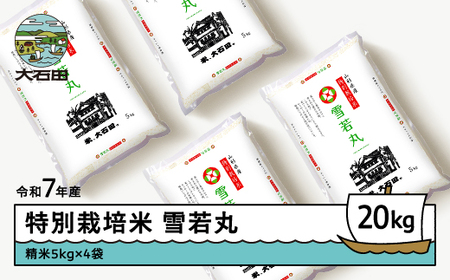お米 米 令和7年産 【2026年6月上旬発送】 米 雪若丸 20kg 大石田町産 特別栽培米 精米 ※沖縄・離島への配送不可 ja-yusxa20-6f