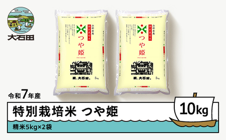 お米 米 令和7年産 米 つや姫 10kg 2026年5月下旬発送 大石田町産 特別栽培米 精米 ※沖縄・離島への配送不可 ja-tssxa10-5s