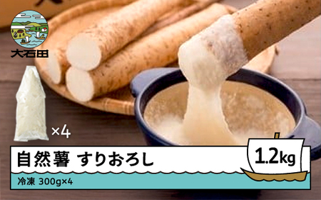 雪国育ちの自然薯 すりおろし 300g×4 計1200g 時短 野菜 グルメ 取り寄せ ご当地 特産 産地 直送人気 オススメ 家計応援 消費応援 物価高応援 支援 oz-zisox1200