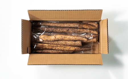 雪国育ちの自然薯 ご家庭用 約1kg 訳あり 野菜 グルメ 取り寄せ ご当地 特産 産地 直送人気 オススメ 家計応援 消費応援 物価高応援 支援 oz-ziwxx1000