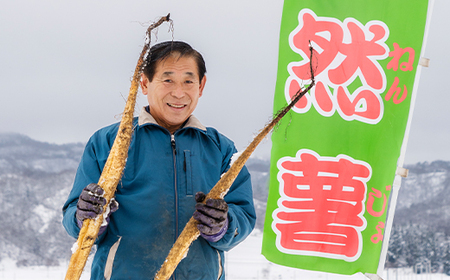 雪国育ちの自然薯 ご家庭用 約1kg 訳あり 野菜 グルメ 取り寄せ ご当地 特産 産地 直送人気 オススメ 家計応援 消費応援 物価高応援 支援 oz-ziwxx1000