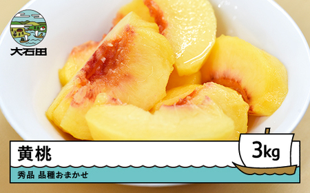 【先行予約】もも 黄桃 品種おまかせ 約3kg 令和8年産 2026年産  ※沖縄・離島への配送不可 ry-mootx3000