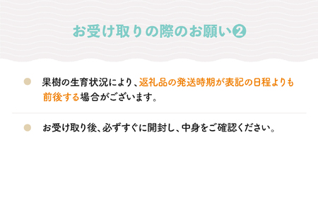 【先行予約】もも 黄桃&白桃 品種おまかせ 計3kg 令和8年産 2026年産  ※沖縄・離島への配送不可 ry-mohot3000