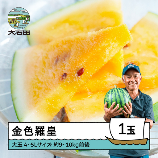 大玉すいか 金色羅皇 4~5L×1玉 令和8年産 山形県産 gt-sukrx4
