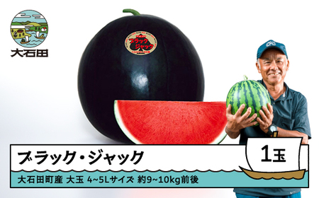 大玉すいか ブラックジャック 4~5L×1玉 令和8年産 山形県産 gt-subjx4