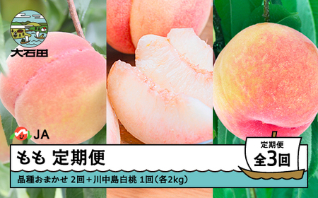 【先行予約】もも 3回 定期便 令和8年産 2026年産 桃 モモ 山形県 大石田町 フルーツ 果物 ※沖縄・離島への配送不可 ja-tkmox
