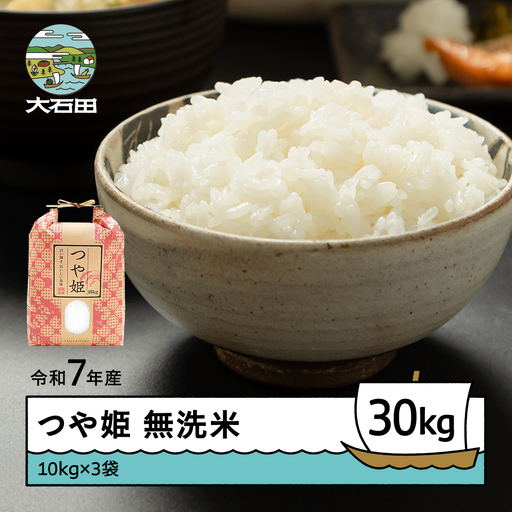 お米 米 令和7年産 つや姫  無洗米 順次発送 30kg 10kg×3袋 山形県産 ap-tsmxa10x3-0