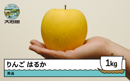 【先行予約】 りんご はるか 約1kg 令和8年産 2026年産  ※沖縄・離島への配送不可 ry-rihax1000