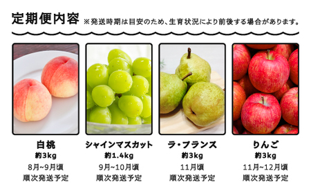 【先行予約】フルーツ定期便 全4回 もも 白桃 ぶどう シャインマスカット ラ・フランス 洋梨 りんご サンふじ ※沖縄・離島への配送不可 ja-ft4fx-b