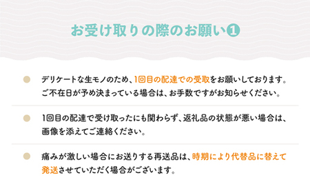 【先行予約】フルーツ定期便 全4回 もも 白桃 ぶどう シャインマスカット ラ・フランス 洋梨 りんご サンふじ ※沖縄・離島への配送不可 ja-ft4fx-b