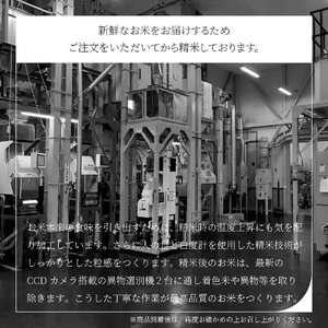 【4月上旬発送】つや姫 10kg 令和7年産 山形県産 無洗米 ※沖縄・離島への配送不可 ob-tsxxx10-m4a