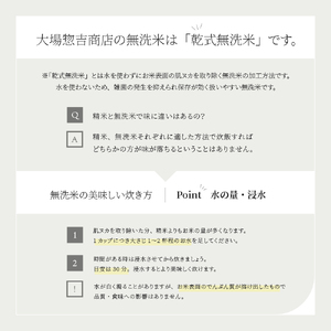 【4月下旬発送】つや姫 10kg 令和7年産 山形県産 無洗米 ※沖縄・離島への配送不可 ob-tsxxx10-m4c