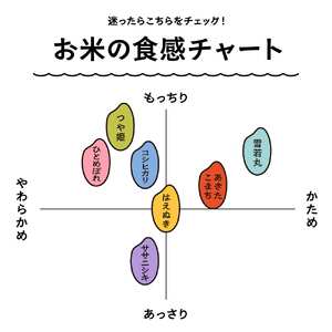 【5月中旬発送】つや姫 10kg 令和7年産 山形県産 無洗米 ※沖縄・離島への配送不可 ob-tsxxx10-m5b
