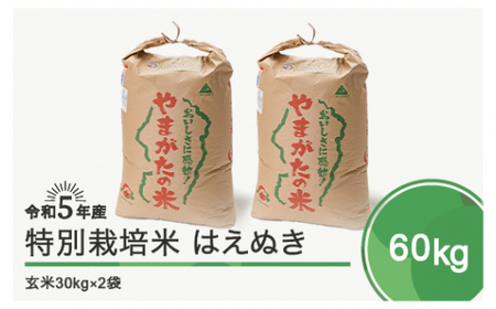 米 令和5年産 2023年産 はえぬき60kg 大石田町産 特別栽培米 玄米 ja-hagxa60