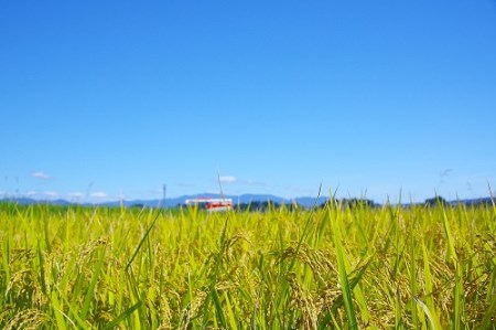 米 令和5年産 2023年産 はえぬき60kg 大石田町産 特別栽培米 玄米 ja-hagxa60