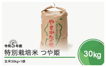 令和5年産 米 つや姫30kg 大石田町産 特別栽培米 玄米 先行予約 ※沖縄・離島への配送不可 