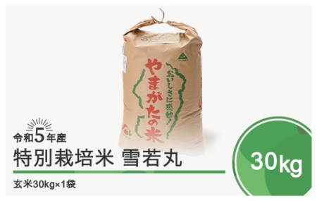 先行予約 令和5年産 米 雪若丸30kg 大石田町産 特別栽培米 玄米 先行