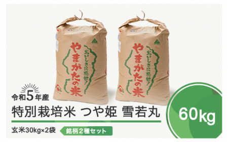 米 令和5年産 2023年産 つや姫 雪若丸 各30kg 計60kg 玄米 ja-tygxa60