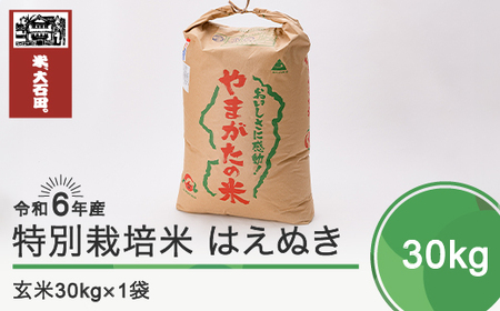 新米 令和6年産 米 はえぬき 30kg 大石田町産 特別栽培米 玄米 備蓄 防災 支援 農家 業務用 ※沖縄・離島への配送不可 ja-hagxb30