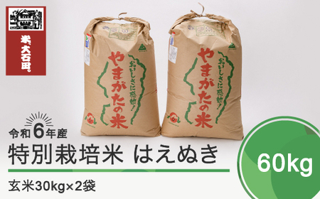 新米 令和6年産 米 はえぬき 60kg 大石田町産 特別栽培米 玄米 備蓄 防災 支援 農家 業務用 ※沖縄・離島への配送不可 ja-hagxb60