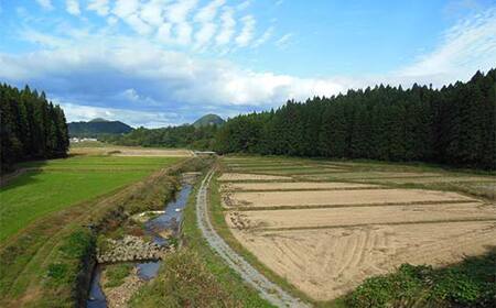 ＜先行予約＞ 令和7年産【精米】「つや姫マイスター」が作った「はえぬき」（10kg）米 お米 白米 ご飯 ブランド米 つや姫 送料無料 東北 山形 金山町 F4B-0591
