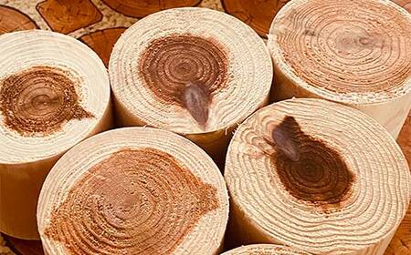 金山杉 マルブロック ガーデニング 木製 ウッド 庭  F4B-0580