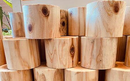 金山杉 マルブロック ガーデニング 木製 ウッド 庭  F4B-0580