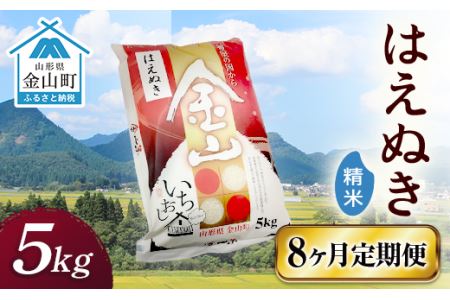 令和6年産 金山産米 はえぬき 【精米】（5kg）×8ヶ月 計40kg 定期便 米 お米 白米 ご飯 精米 ブランド米 送料無料 東北 山形 金山町 F4B-0536