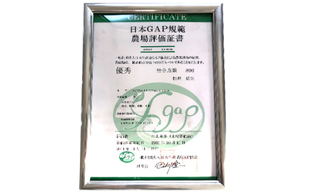 ＜先行予約＞令和7年産【精米】「つや姫マイスター」が作った「つや姫」10kg（5kg×2） F4B-0455