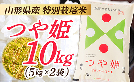 IG【令和5年産】 山形県産 特別栽培米 つや姫10kg (5㎏×2袋)