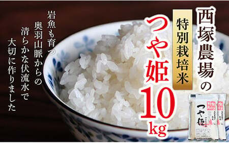 【令和6年産予約】特別栽培米　つや姫　玄米　10kg×1