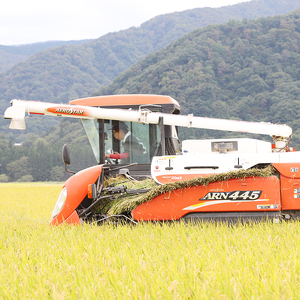 令和7年産 山形県 最上町産 特別栽培米 はえぬき 5kg