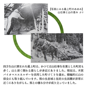 【お礼品の提供なし】熊との共生を目指して～熊による人的被害の防止対策・環境整備へのご支援を～