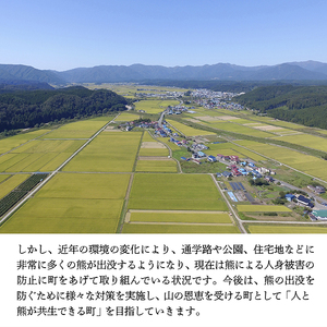 【お礼品の提供なし】熊との共生を目指して～熊による人的被害の防止対策・環境整備へのご支援を～