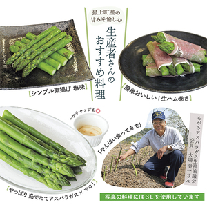 【令和8年産予約】最上町特産グリーンアスパラ 2Lサイズ 1kg