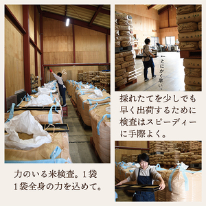 【令和7年産】「無洗米」山形県産　特別栽培米つや姫2kg
