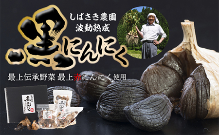 【10月より値上げ予定】波動熟成黒にんにくBセット