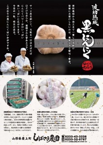 【10月より値上げ予定】波動熟成黒にんにくBセット