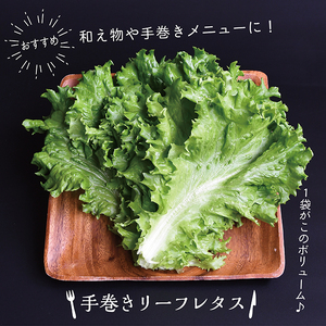 野菜ソムリエ中嶌さんのレタスセット