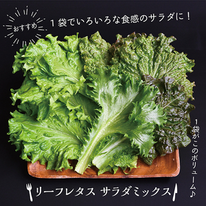 野菜ソムリエ中嶌さんのレタスセット