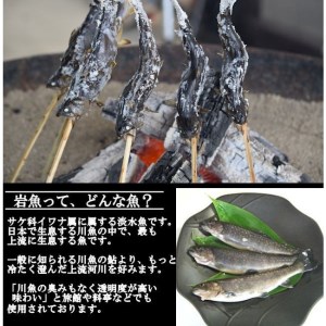 西塚農場産 岩魚冷凍10尾(腹抜き)